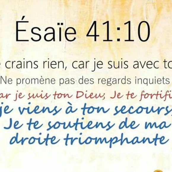 Meet your Posher, Rose - Picture 1 of 1